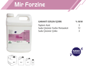 Mir Forzine