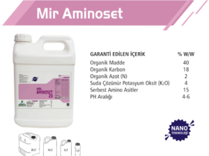 Mir Aminoset