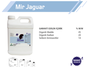 Mir Jaguar