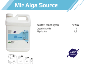 Mir Alga Source