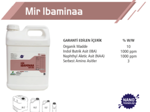 Mir Ibaminaa