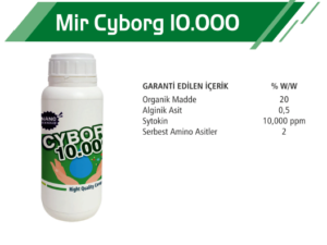 Mir Cyborg 10.000