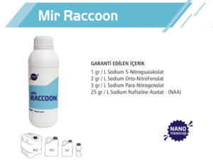 Mir Raccoon