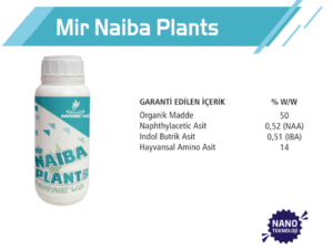 Mir Naiba Plants