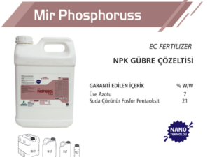 Mir Phosphoruss