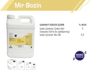 Mir Bozin